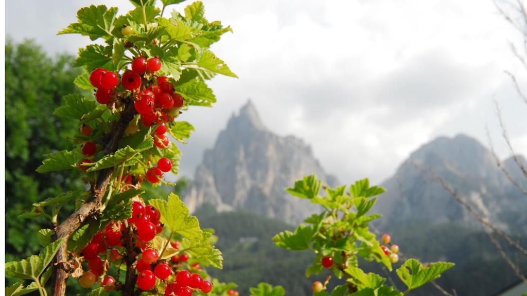 Garni Karlegger Bed and Breakfast Siusi Eksteriør billede